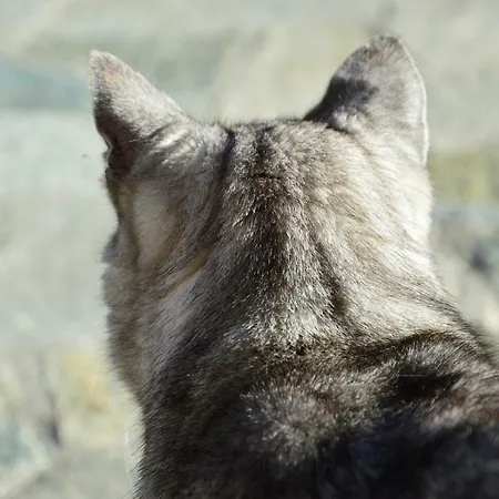 Et Table D'hotes Du Pere 3*